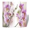 vidaXL Folding Room Divider 160x170 cm Flower