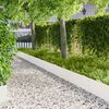 Product Thumbnail Image 2 of 9