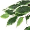 vidaXL Artificial Ficus Tree 756 Leaves 150 cm Green