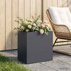 Product Thumbnail Image 2 of 6