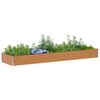 Product Thumbnail Image 3 of 13