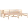 vidaXL Pull-out Day Bed without Mattress 2x(80x200)cm