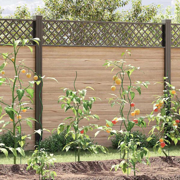 Showing Product Image 2 of 11