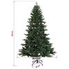 Product Thumbnail Image 7 of 7