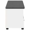 vidaXL Hall Bench with Cushion with Drawer White 100 x 38 x 46 cm