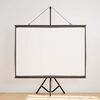 vidaXL Projection Screen with Tripod 60 Inch 4:3