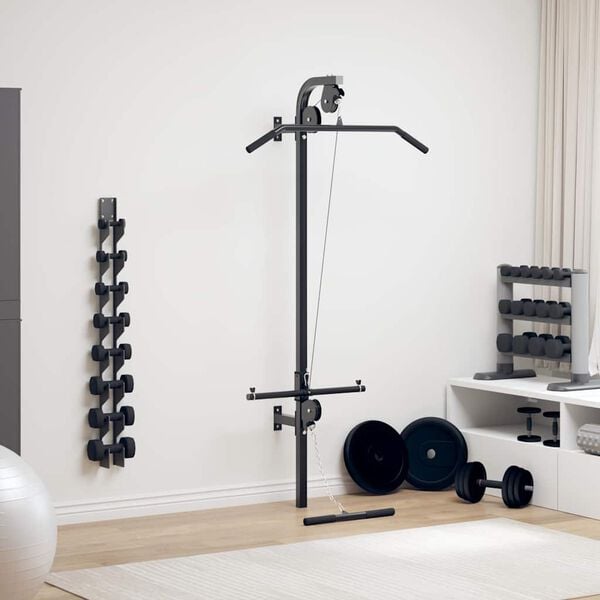 vidaXL Wall-mounted Home Gym with 2 Pulleys