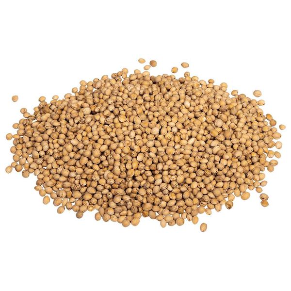 Showing Product Image 4 of 6