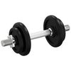 vidaXL Dumbbell with Plates Set 40 kg Cast Iron & Chrome Plated Steel