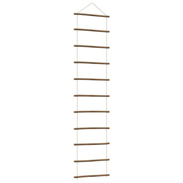 vidaXL Wall Decoration Ladder-Shaped 50x200 cm Natural Branch