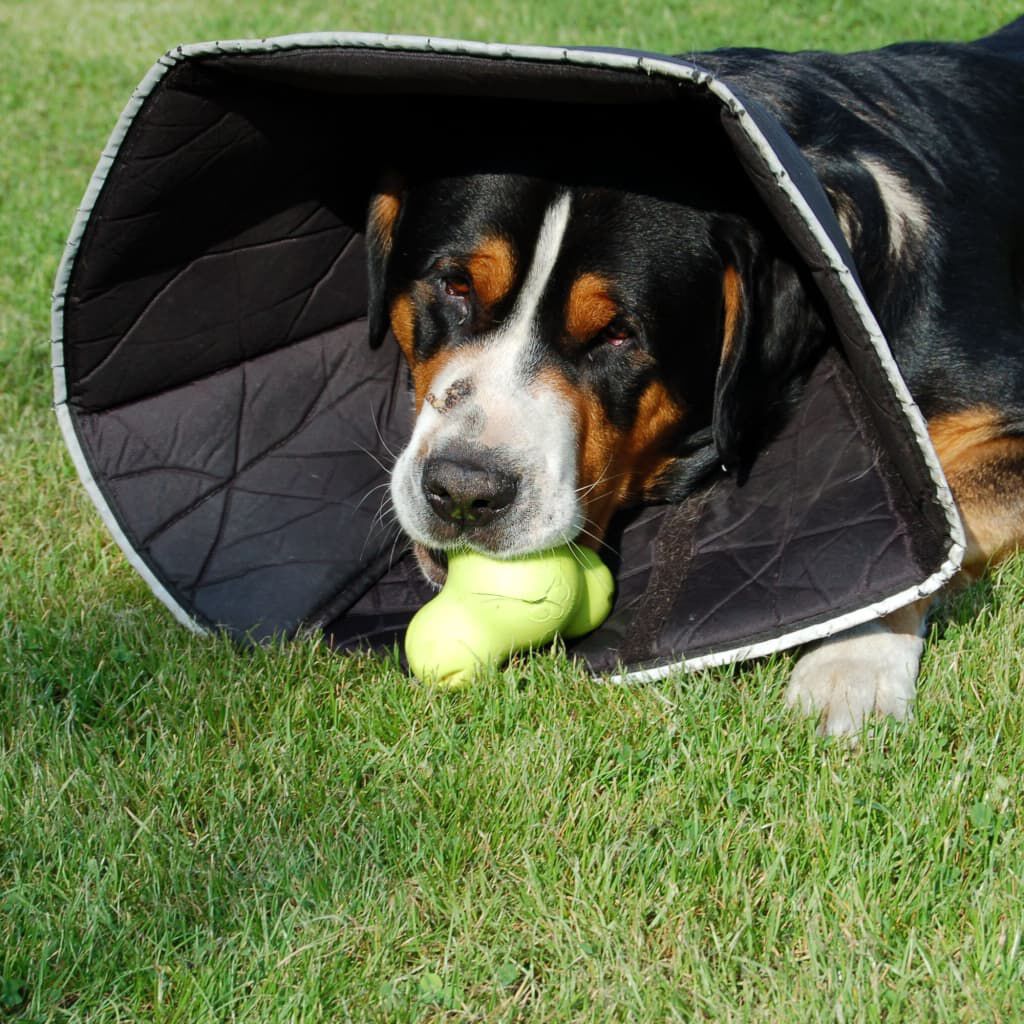 Comfy cone uk discount