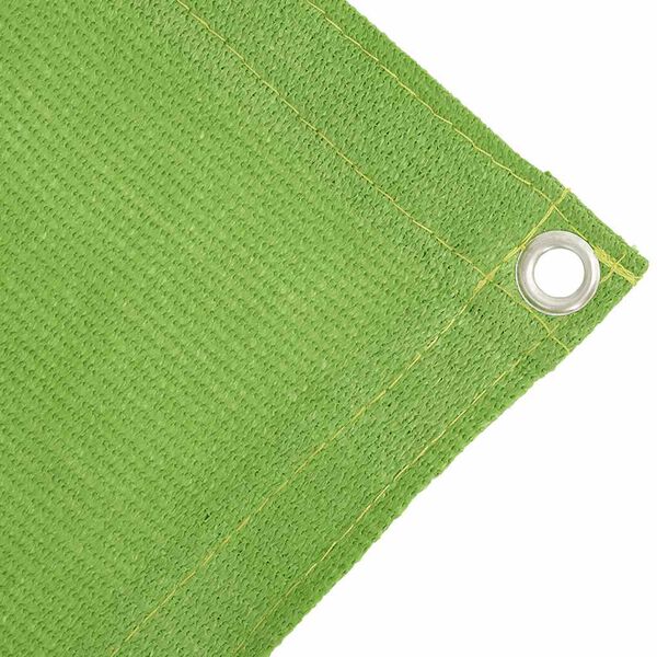vidaXL Tent Carpet Light Green 250x500 cm HDPE
