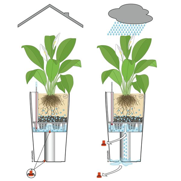 LECHUZA Planter CILINDRO Cottage 23 ALL-IN-ONE Diameter 23 cm Sand Brown