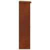 vidaXL Parcel Drop Box Rusty 44.5 x 29 x 110.5 cm Weathering Steel