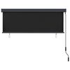 vidaXL Outdoor Roller Blind 160x250 cm Anthracite
