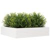 Product Thumbnail Image 4 of 10