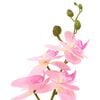 Product Thumbnail Image 3 of 4