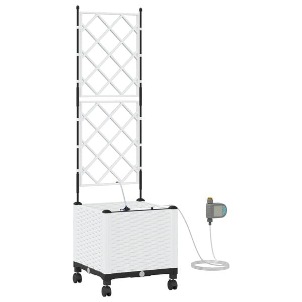 Showing Product Image 1 of 7