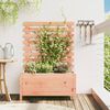 vidaXL Garden Planter with Rack 79x39.5x114 cm Solid Wood Douglas