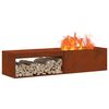 vidaXL Fire Pit Brown 160 x 45 x 35 cm Steel