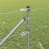 Product Thumbnail Image 4 of 16