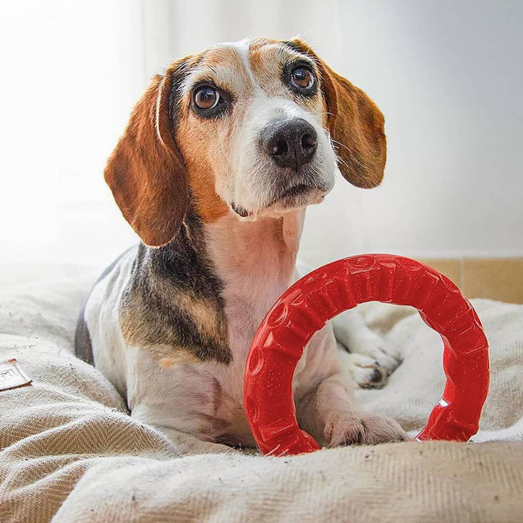Ferplast online dog bed