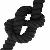 Product Thumbnail Image 4 of 6