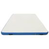 vidaXL Inflatable Floating Deck Blue and White 300x150x15 cm