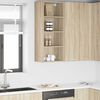 vidaXL Hanging Cabinet Sonoma Oak 40 x 29.5 x 100 cm Engineered Wood