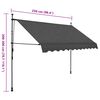 vidaXL Manual Retractable Awning with LED 250 cm Anthracite