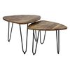 HSM Collection 2 Piece Coffee Table Set Dexter