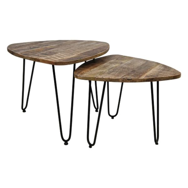HSM Collection 2 Piece Coffee Table Set Dexter