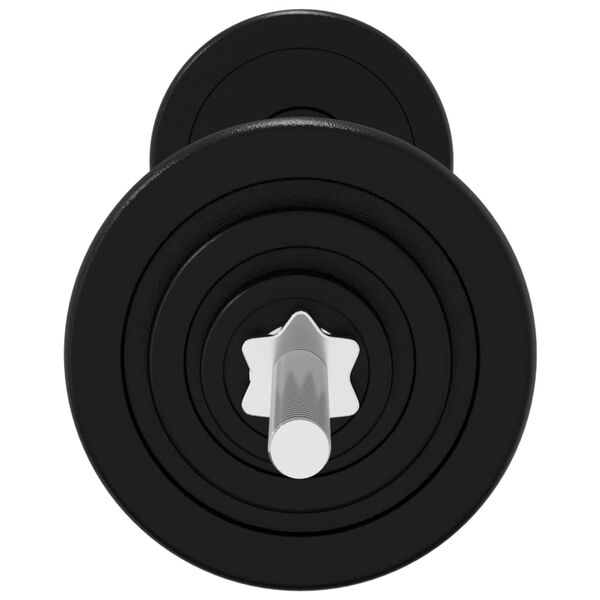 vidaXL Barbell with Plates 90 kg Cast Iron