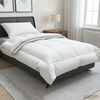 Product Thumbnail Image 2 of 11