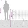 Product Thumbnail Image 16 of 16