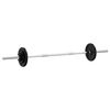 vidaXL Barbell with Plates 90 kg Cast Iron
