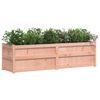 vidaXL Garden Planter 180x50x50 cm Solid Wood Douglas