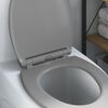 vidaXL Toilet Seat Grey 47 x 37.5 x 3.8 cm Duroplast