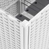 Product Thumbnail Image 6 of 9
