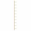 Product Thumbnail Image 6 of 9