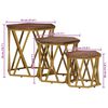 vidaXL Coffee Tables Brown 55 x 55 x 50 cm Solid Mango Wood