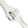 Product Thumbnail Image 5 of 7