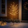 Product Thumbnail Image 3 of 7