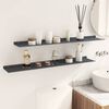 vidaXL Floating Shelf 2 pcs Anthracite 100 x 18 x 2.5 cm Steel