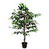 Product Thumbnail Image 3 of 6