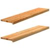 vidaXL Stair Treads 2 pcs Light Brown 120x25x2 cm Solid Wood Oak