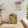 Product Thumbnail Image 3 of 11