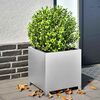 Product Thumbnail Image 2 of 13