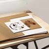 Product Thumbnail Image 4 of 14