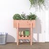 vidaXL Garden Planter 62x30x69 cm Solid Wood Douglas
